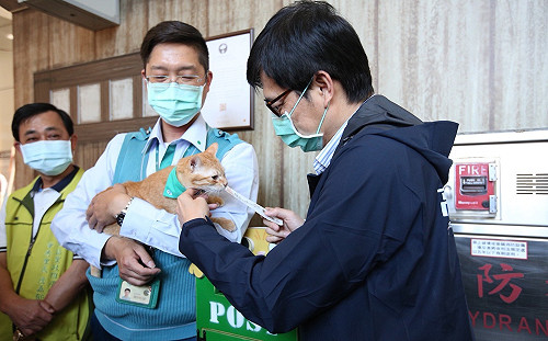 探望橋頭貓站長及站務同仁  陳其邁難擋蜜柑萌樣