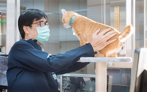 高捷貓站長圈粉蔡英文 陳其邁：陳小米有機會也應該來當義工