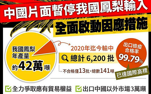 中國回函仍暫緩輸入鳳梨 農委會供資訊盼恢復貿易