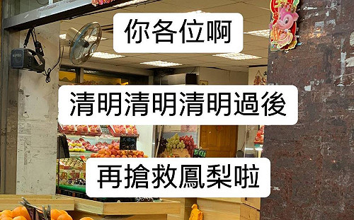 「搶救鳳梨」再等等! 鳳梨王子:清明過後才是產季