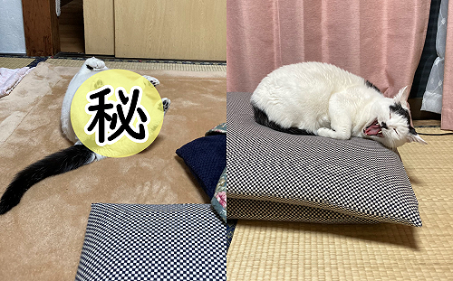 暖桌旁捕獲一隻「翻肚爽睡」黑白貓 網友大笑:真懂享受~
