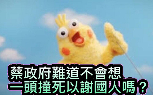 孫大千質問蔡政府為何農產品打不入東南亞?議員一句話秒懂