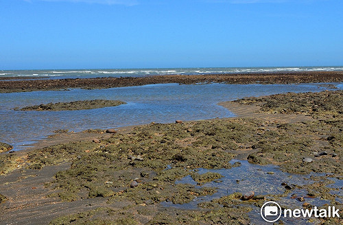 管仁健觀點》民進黨對「礁命貴公投」還要裝睡到何時？