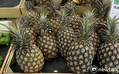 鳳梨外銷日本傳惡性削價競爭!農委會:違者不發獎勵金