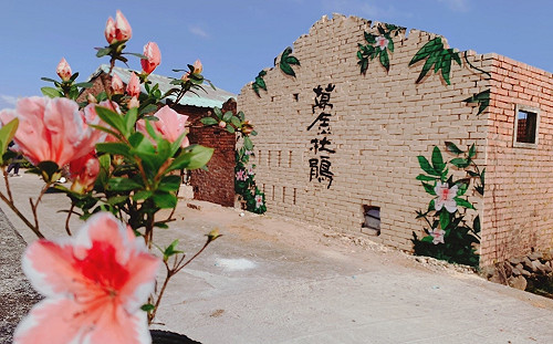 赴新北萬金賞杜鵑  別錯過在地意象景緻