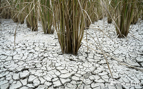 春雨下錯地方無法解渴！鄭明典曝「這2縣市」最先感受缺水壓力