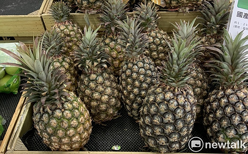 慎防鳳梨外銷削價競爭!農委會:符合這2條件才補助