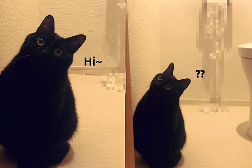 (影)捲筒衛生紙莫名變「流蘇」嫌犯歪頭裝無辜:發生何事?