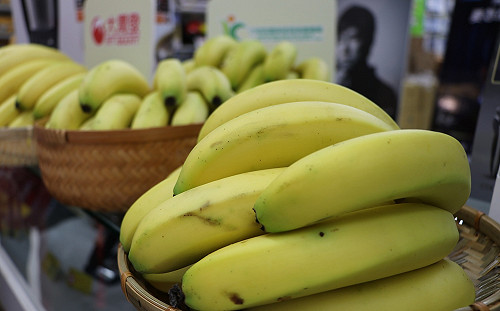 台灣香蕉銷日本農藥殘留超標  民眾黨轟：台農發不要丟臉丟到國際