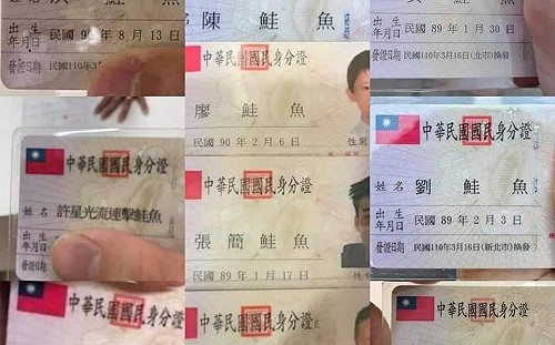 鮭魚之亂》桃市14人改名「鮭魚」 最長名變17個字