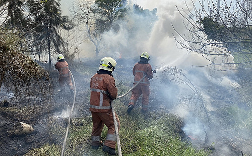 清明掃墓田野火災頻傳  消防署提醒:4不2記得