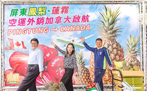 屏東「鳳梨」揪「蓮霧」啟航外銷  潘孟安:加拿大很快可吃到屏東的甜蜜