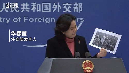華春瑩表情詭異拿｢黑奴照｣稱新疆無強迫勞動 外媒酸：她說的你信嗎