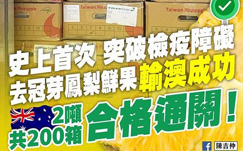 台灣鳳梨鮮果首次成功輸澳 陳吉仲臉書分享好消息