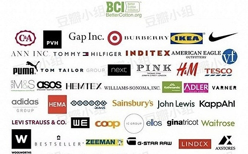 新疆血棉花遭拒用 中國反抵制國際品牌 專家：搬政治石頭砸自己經濟的腳