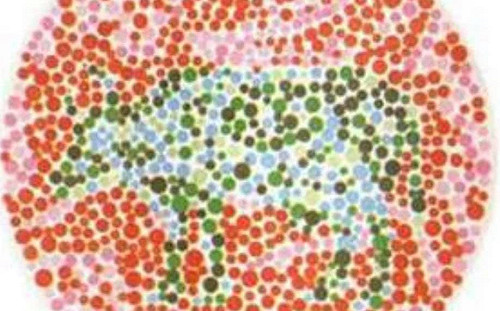 原來他是「色弱人」！氣象達人彭啟明 教你用一張圖搞懂辨色力