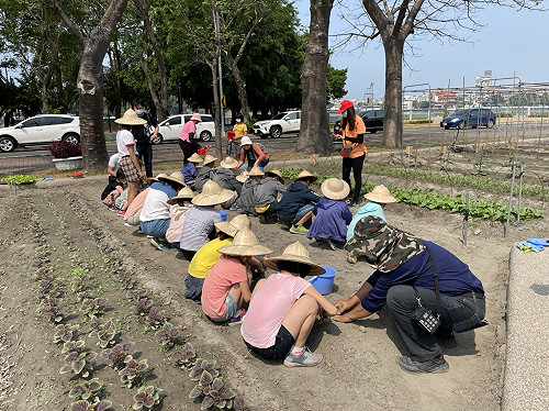 高農雄讚嘉年華活動 邀弱勢兒童體驗田樂農家樂