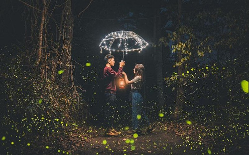 網美曝台灣不可錯過的三大賞螢景點