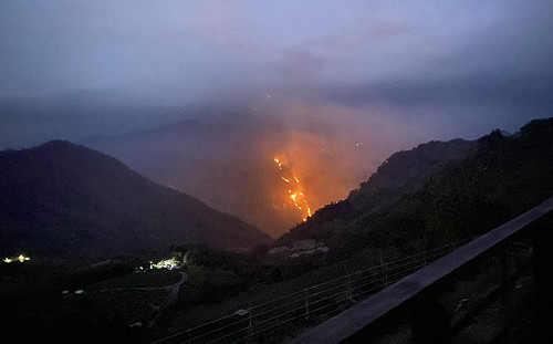 阿里山又燒0.4公頃  因低溫自行熄滅