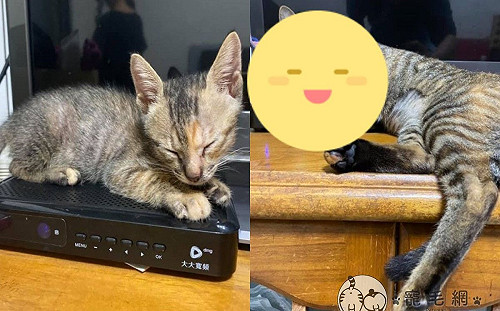 奴才裝機上盒「幾個月就縮水」　網看對比圖笑：買到瑕疵品