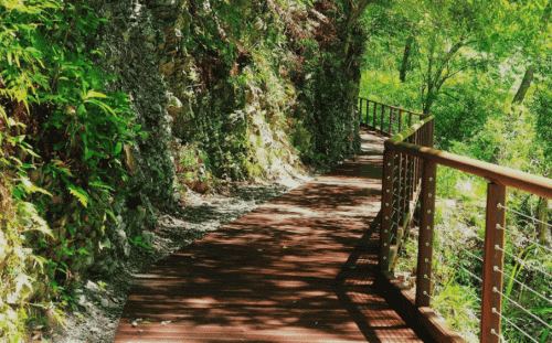 讀者投書》聯合國「地球日」談環保與人權