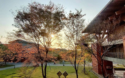 傳藝中心前副主任收回扣喝花酒 北院判7年10月