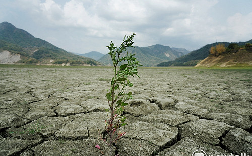 梅雨變沒雨？高壓異常鋒面下不來 彭啟明：雨量可能偏少