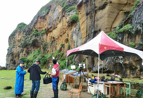 酋長岩遊隼一日八次郎   新北救援落巢幼鷹幸無大礙