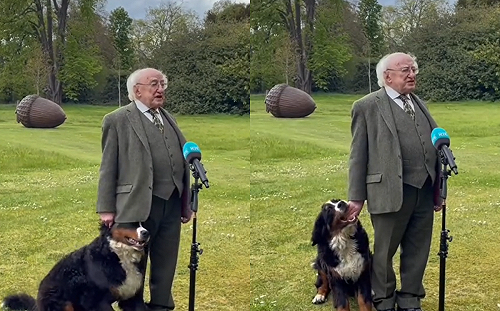 (影)愛爾蘭總統致詞時遭「超萌歹徒」騷擾 網:定力好強!