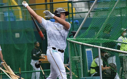 日職/最熟悉的陌生人 王柏融對軟銀打擊百分百