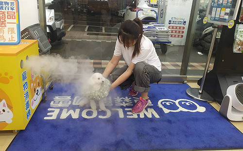 新北首創寵物健康生活站  46據點助毛寶貝及飼主智能抗疫