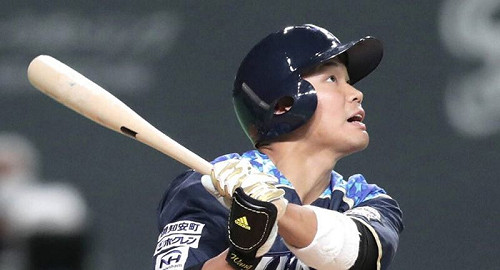 日職/火腿找尋新主砲 王柏融機會大