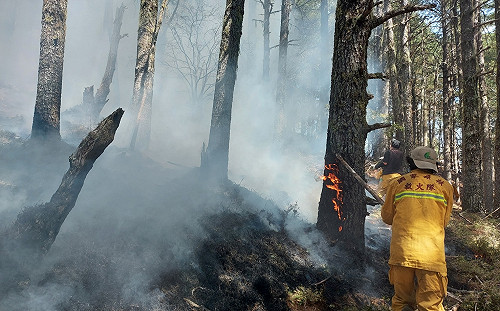 NCC高官「生火成性」釀森林火災 遭彈劾
