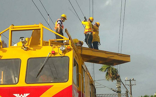 檳榔樹倒塌壓壞電車線！林內＝斗南列車延誤 台鐵：將向業者求償