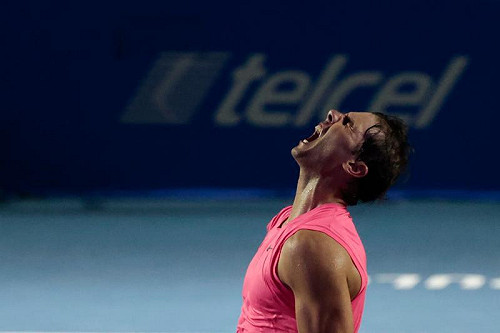 網球／蠻牛超越康納斯成為大滿貫送蛋之王