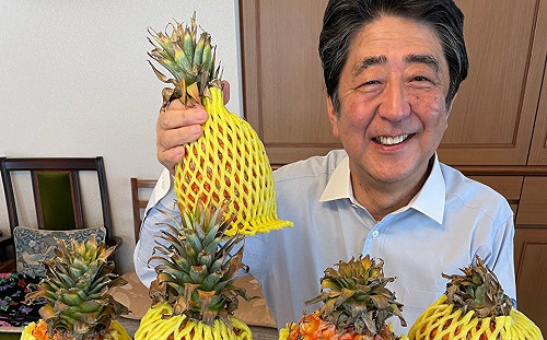 3A大老聯盟  安倍、麻生、甘利明主導自民黨印太外交政策