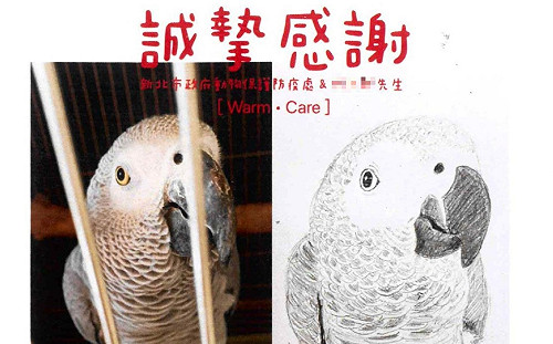 疫情嚴峻   新北官民合作助確診飼主安置寵物