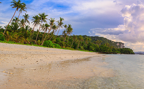 (影)關島推出「電子申報表」！72小時前線上完成就可零接觸入境