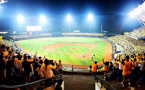 中職拚6/29閉門復賽 雙北外5地開打 陳宗彥：指揮中心審查中