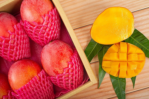 Delta入侵掀芒果退訂潮？枋山女青農澄清：連日大雨自主品管