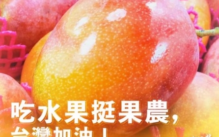 收到「林佳龍」寄送芒果 社福團體致電「就是那個林佳龍嗎?」