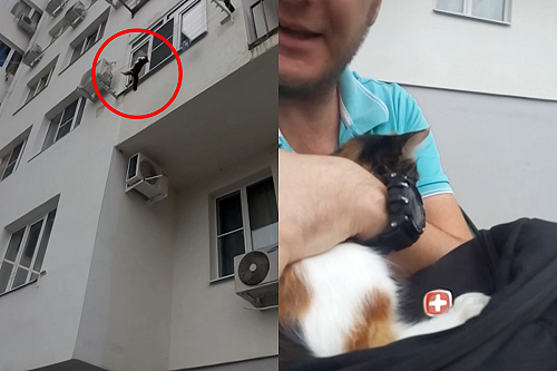 (影)貓咪「高掛曬衣繩」動彈不得　善心民眾看準時機神救援！