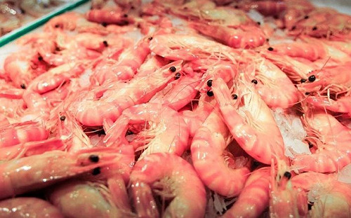 火鍋點白蝦勝天使紅蝦？饕客一面倒