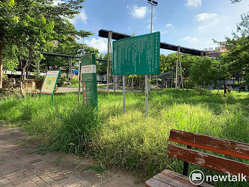 梅雨季各地雜草叢生 南市議會籲防疫也要注重市容預防登革熱