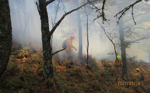 看3千公尺上火神的眼淚 12天搶救玉山全紀錄撼人心