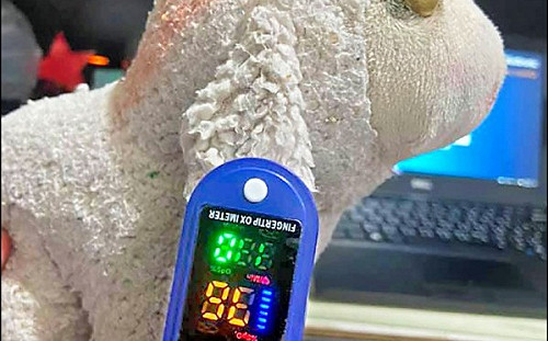 布偶有心跳?黑心中國血氧機「全台狂銷7000多個」進口價175賣800