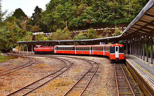 二級警戒》延長至8/23！林務局：阿里山鐵路、嘉明湖露營明起開放申請