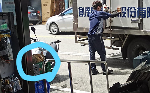 貓店長假睡!物流大哥不忍吵醒 店員曝:牠秒醒去巡邏!