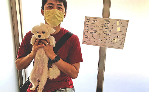 新北家犬貓絕育補助破千件 今年提前達標