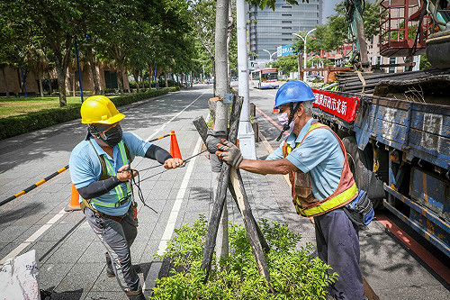 烟花颱風影響!新北加強修樹整備及清淤作業
